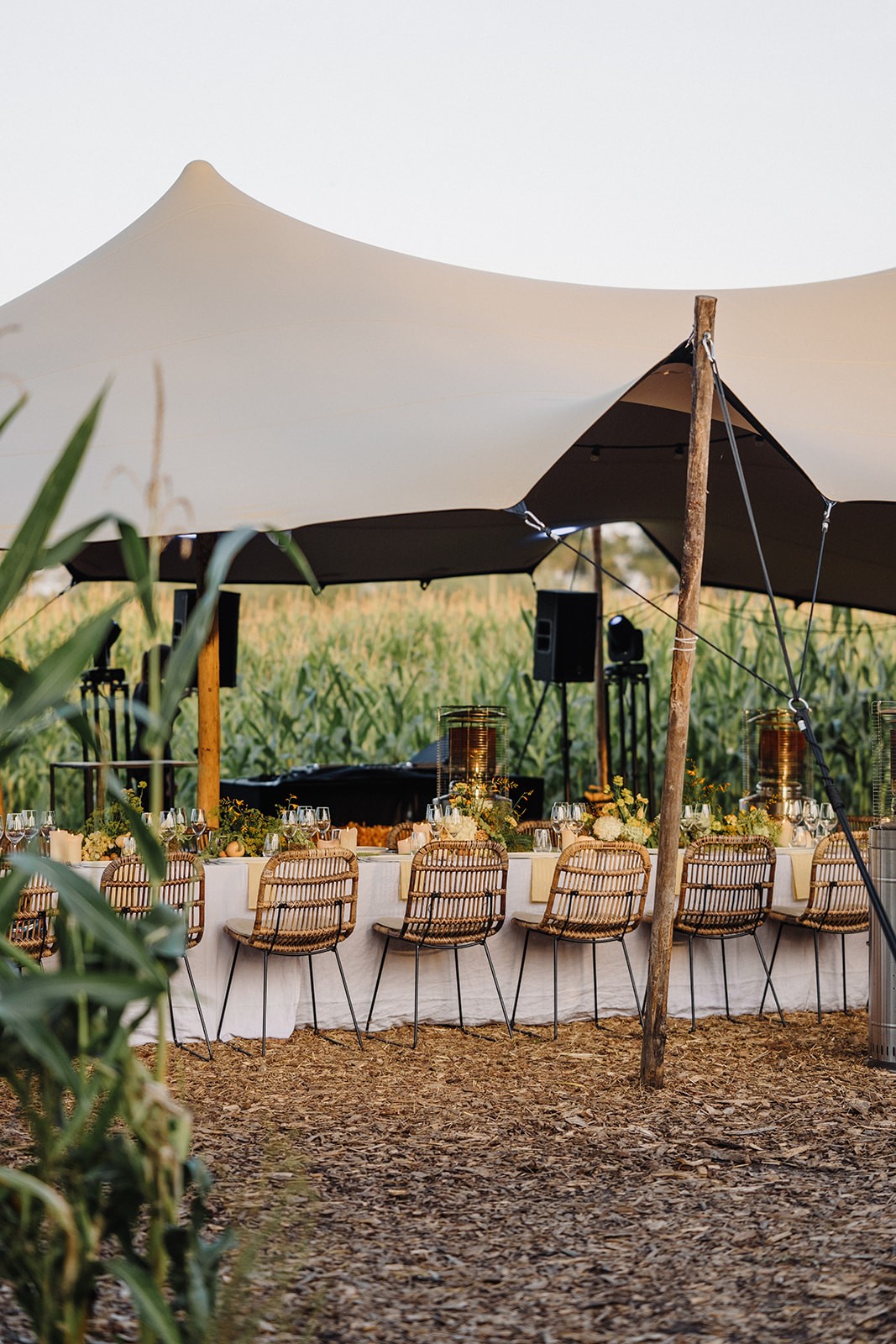 Long dinner table under a stretch tent beside the cornfield at golden hour