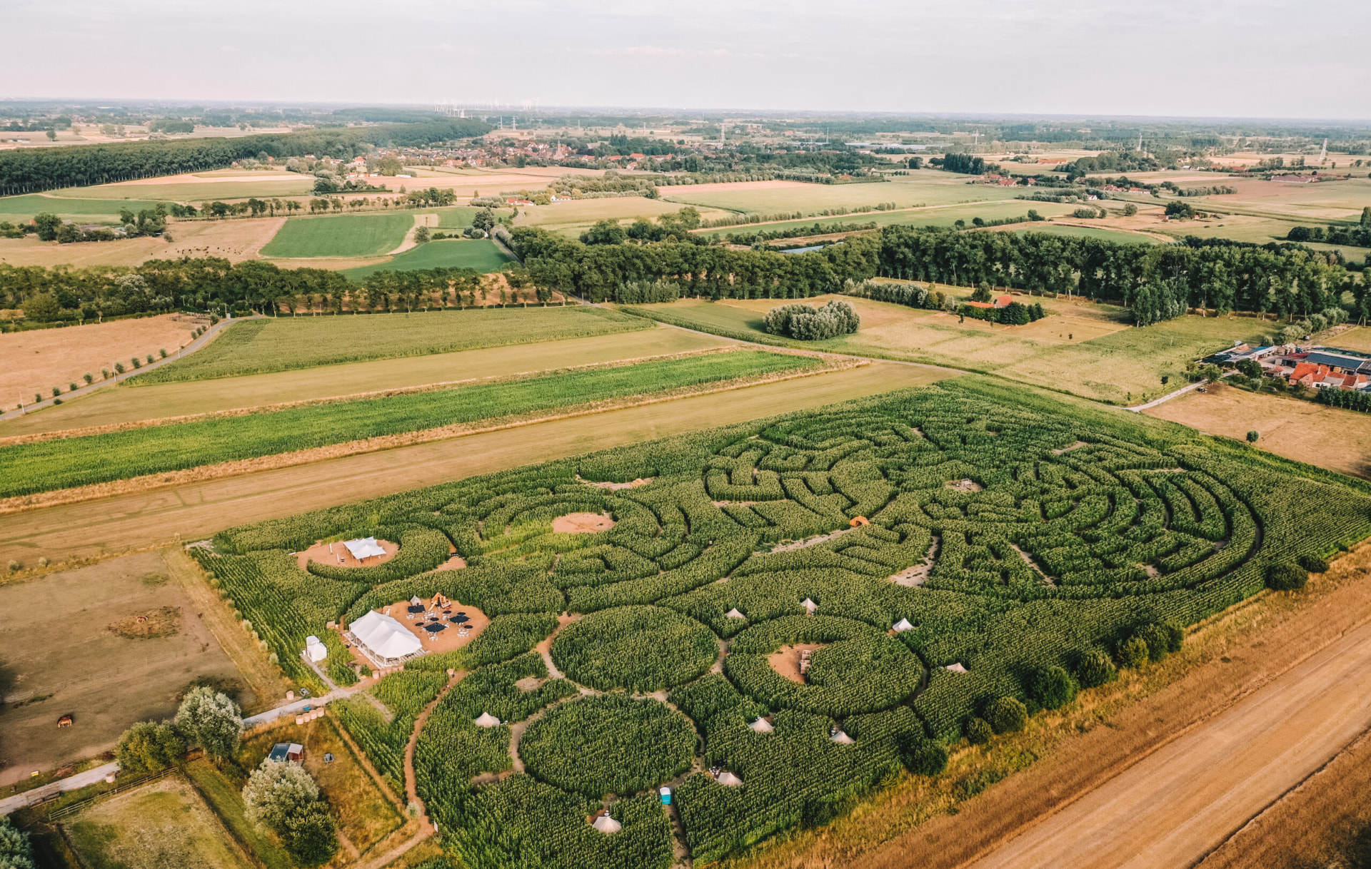 Aerial view of the Maisterplan corn maze with tents at the edge of the field
